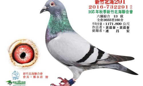 脚淋巴结肿大图片网- 脚上淋巴结肿大是什么原因知识,分享脚淋巴水肿症状有哪些